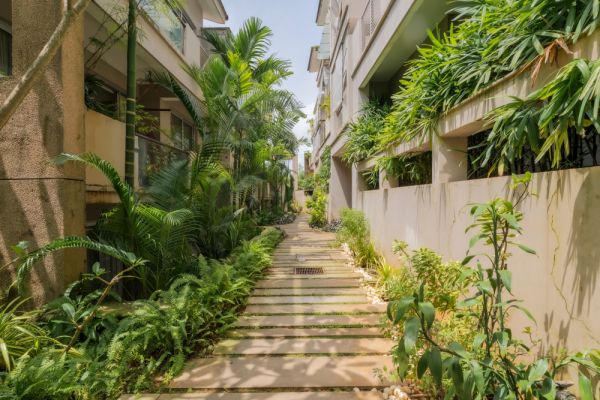 Image Title Goes Here