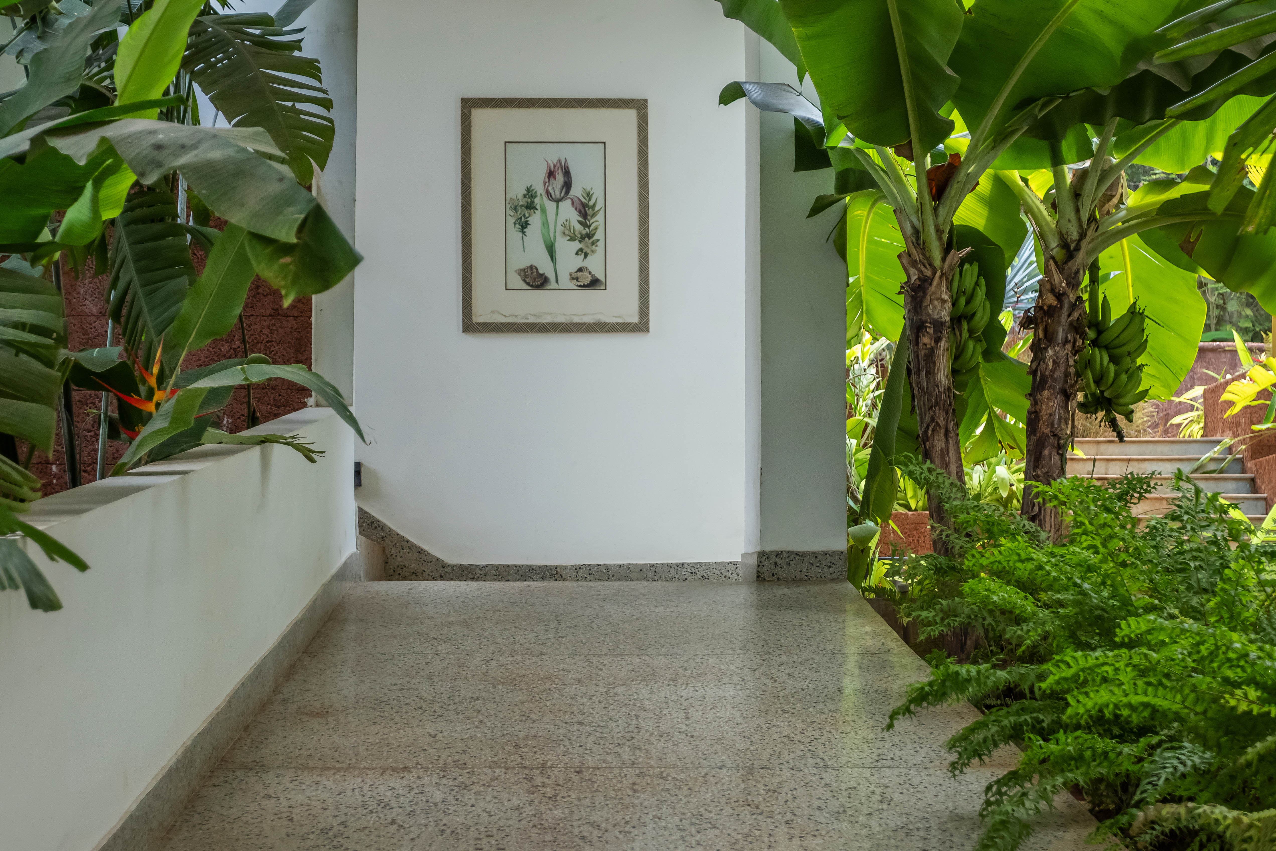 Image Title Goes Here