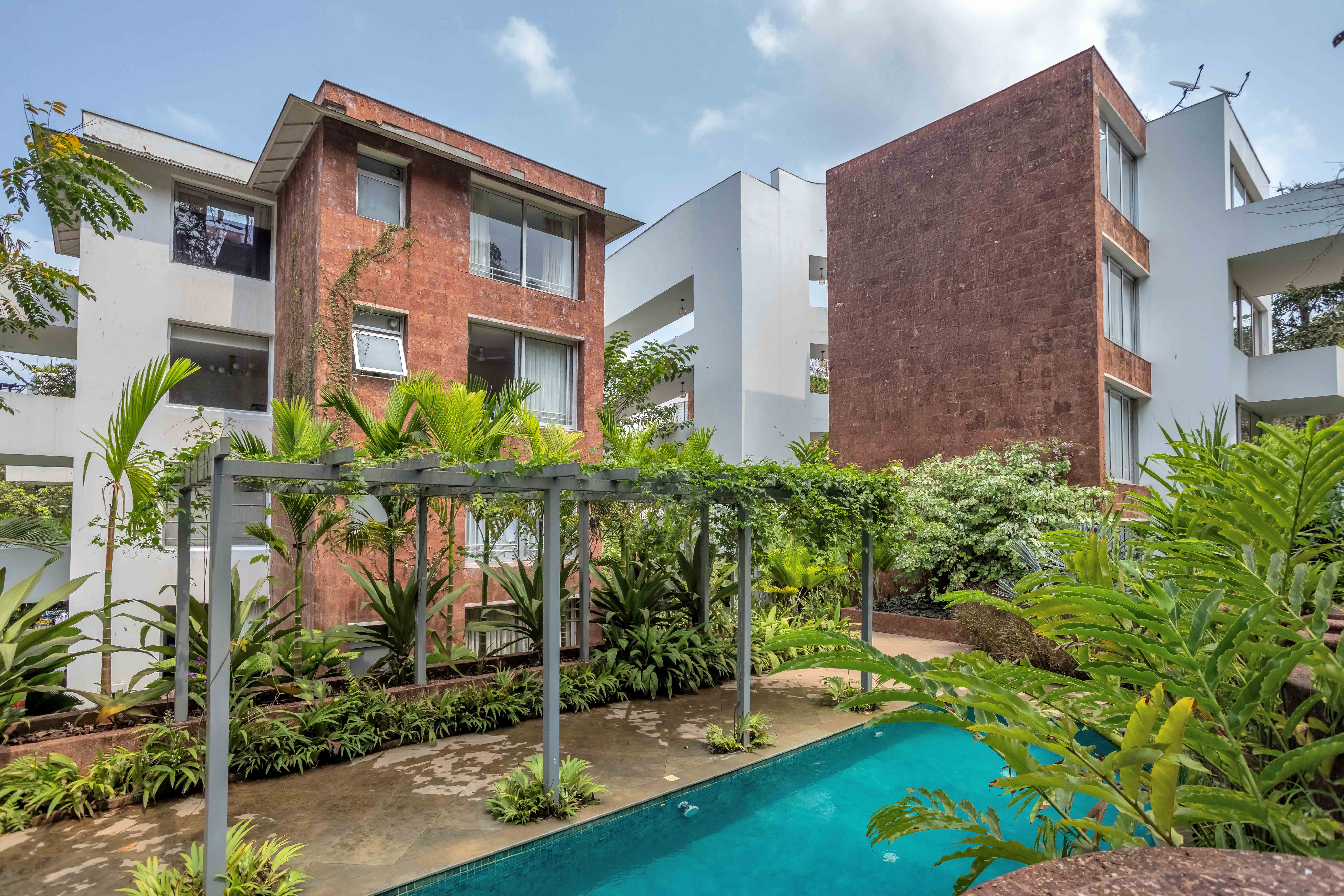 Image Title Goes Here