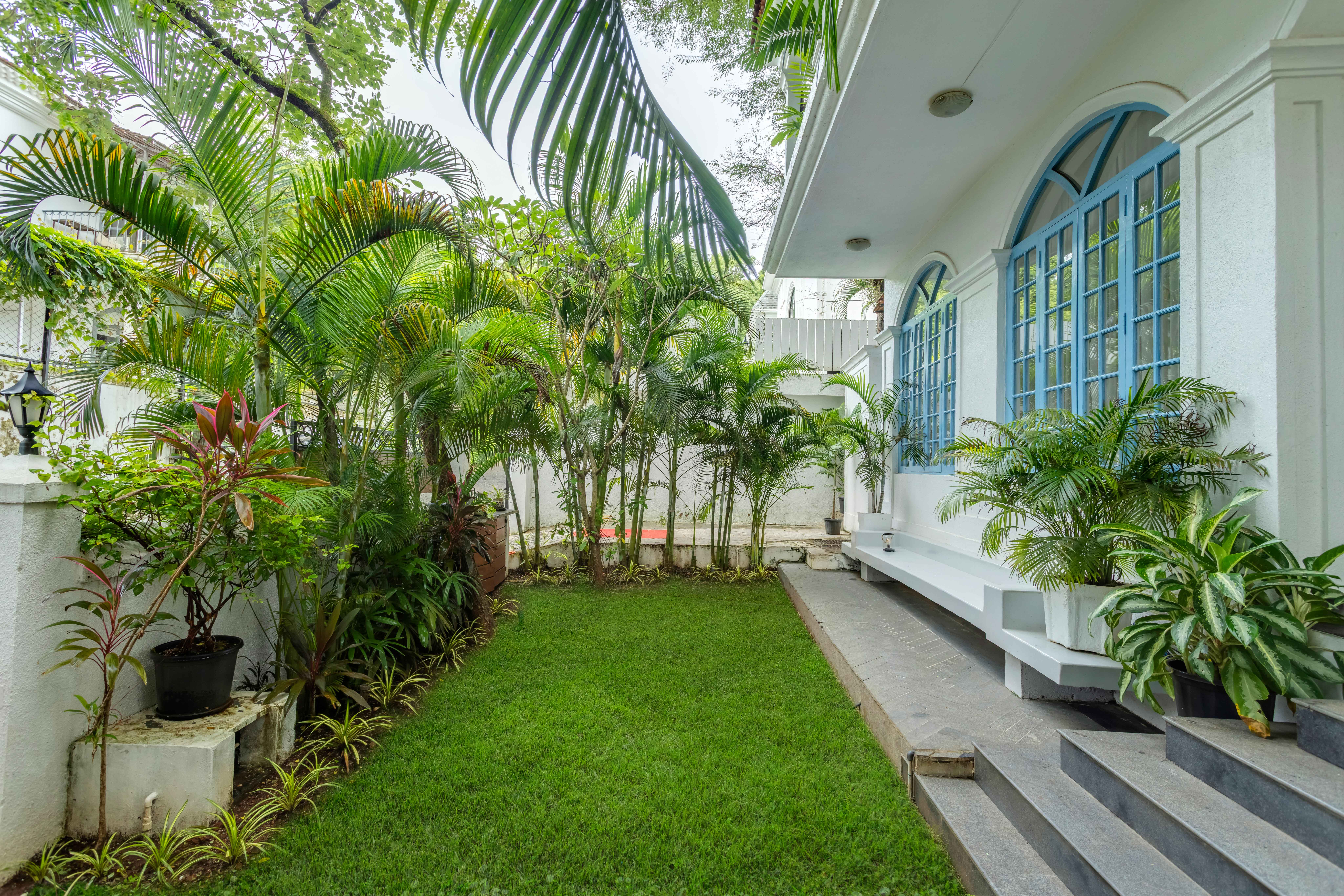 Image Title Goes Here