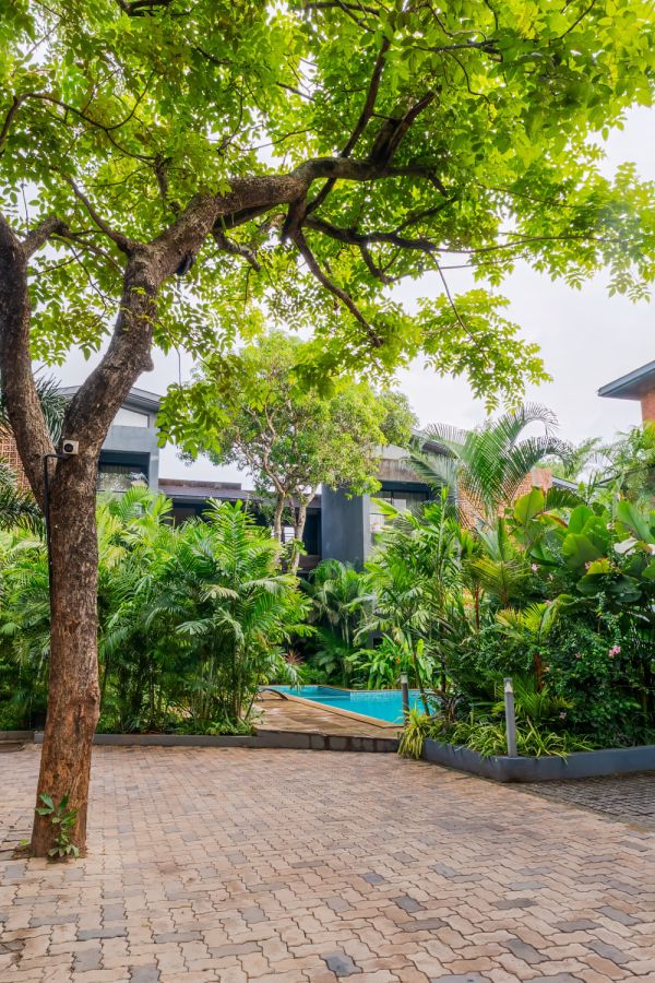 Sereno Amado B1 - 3bhk villa w/pvt pool Assagaon