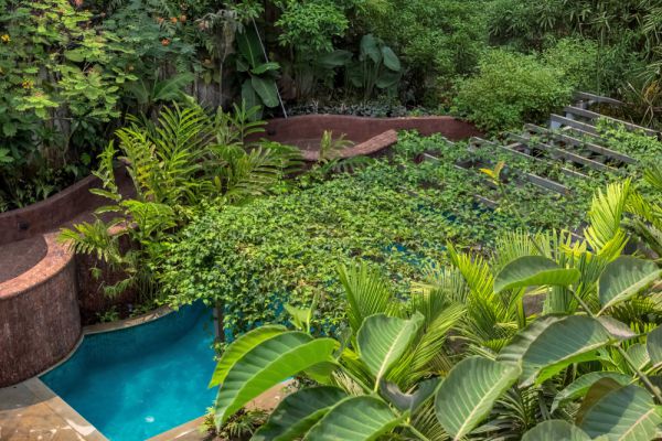 Image Title Goes Here