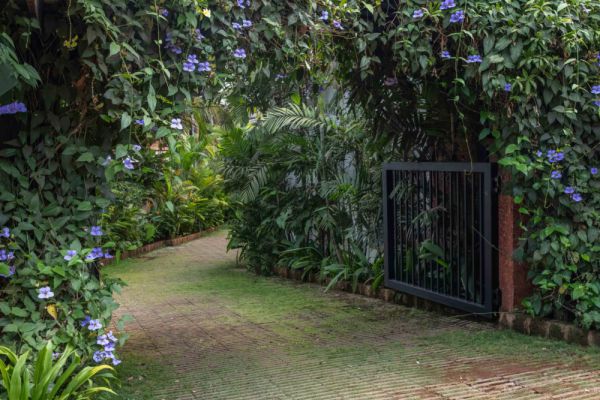 Sereno Picasso 1bhk artsy vibes 3 mins to Assagaon