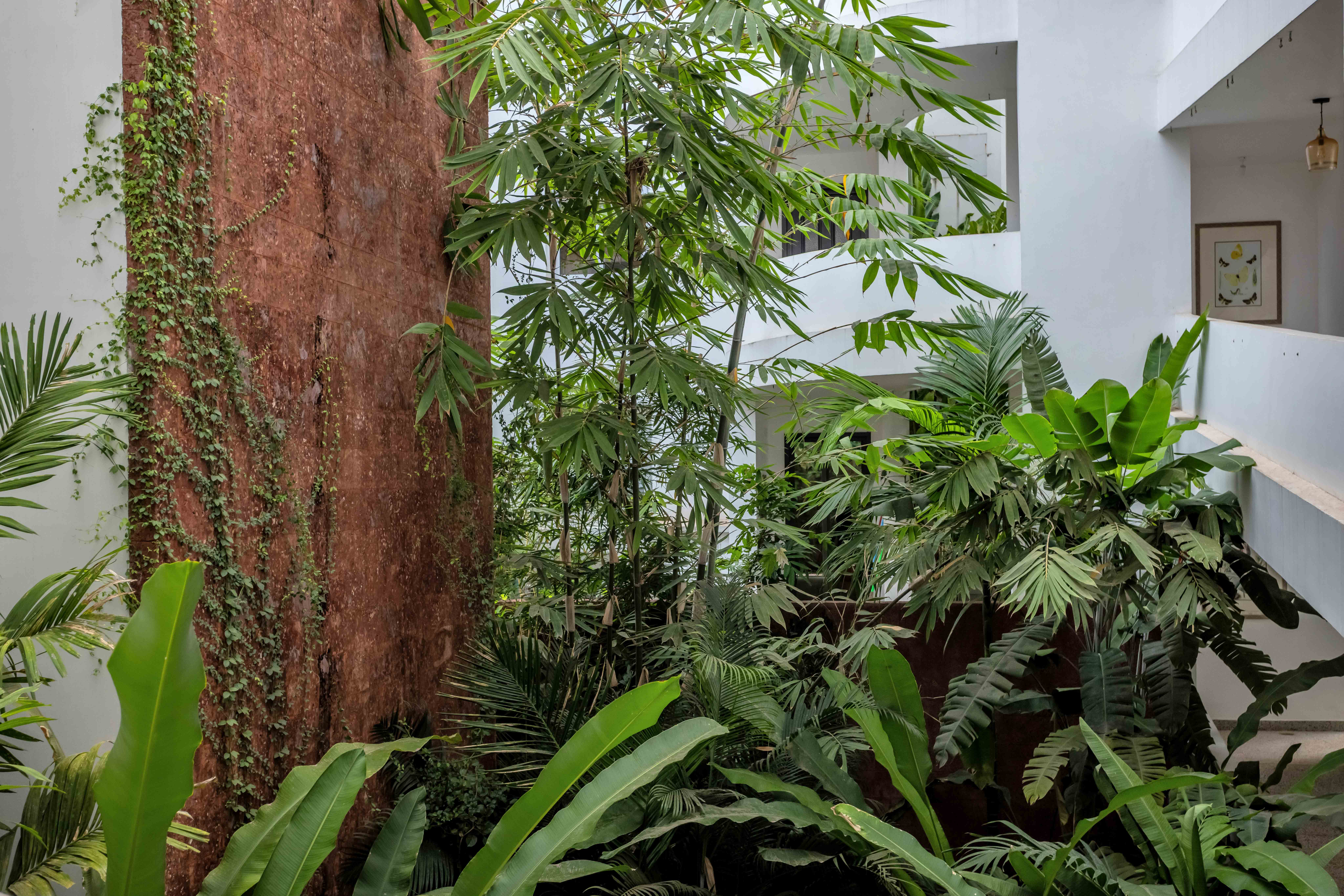 Image Title Goes Here