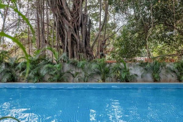 Sereno Picasso 1bhk artsy vibes 3 mins to Assagaon