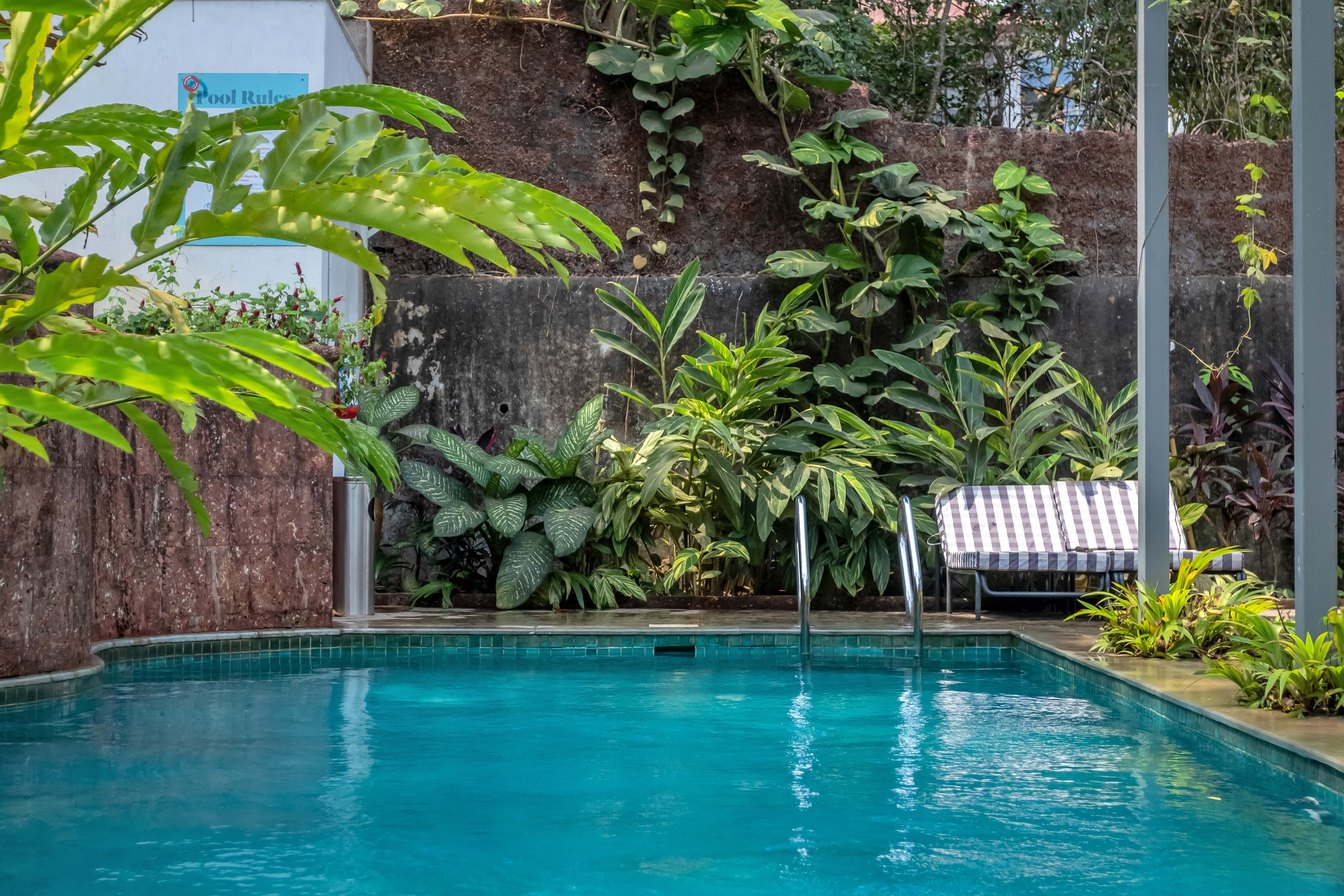 Image Title Goes Here