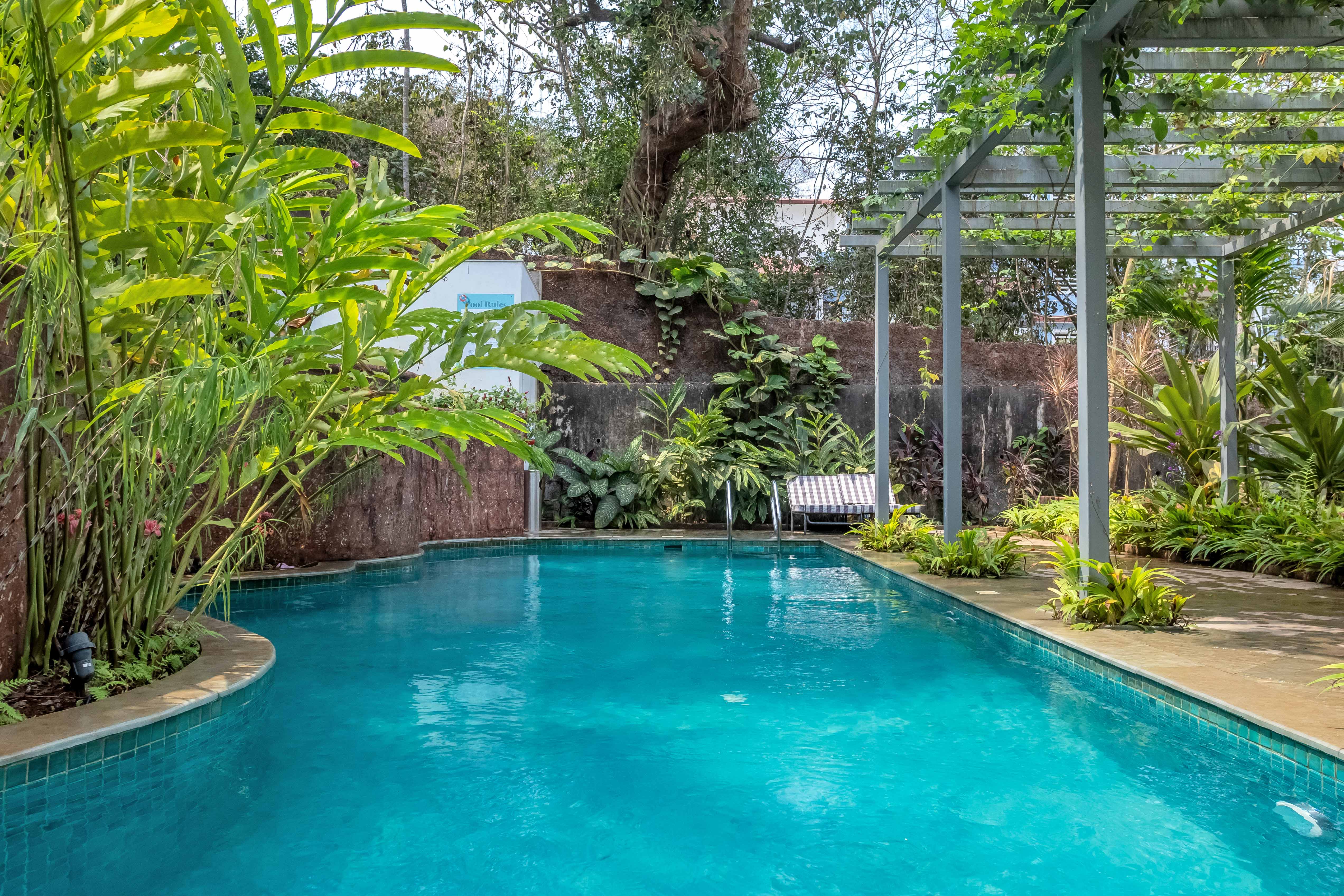 Image Title Goes Here