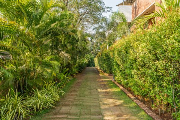 Image Title Goes Here