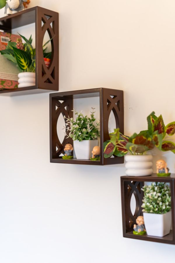 Image Title Goes Here