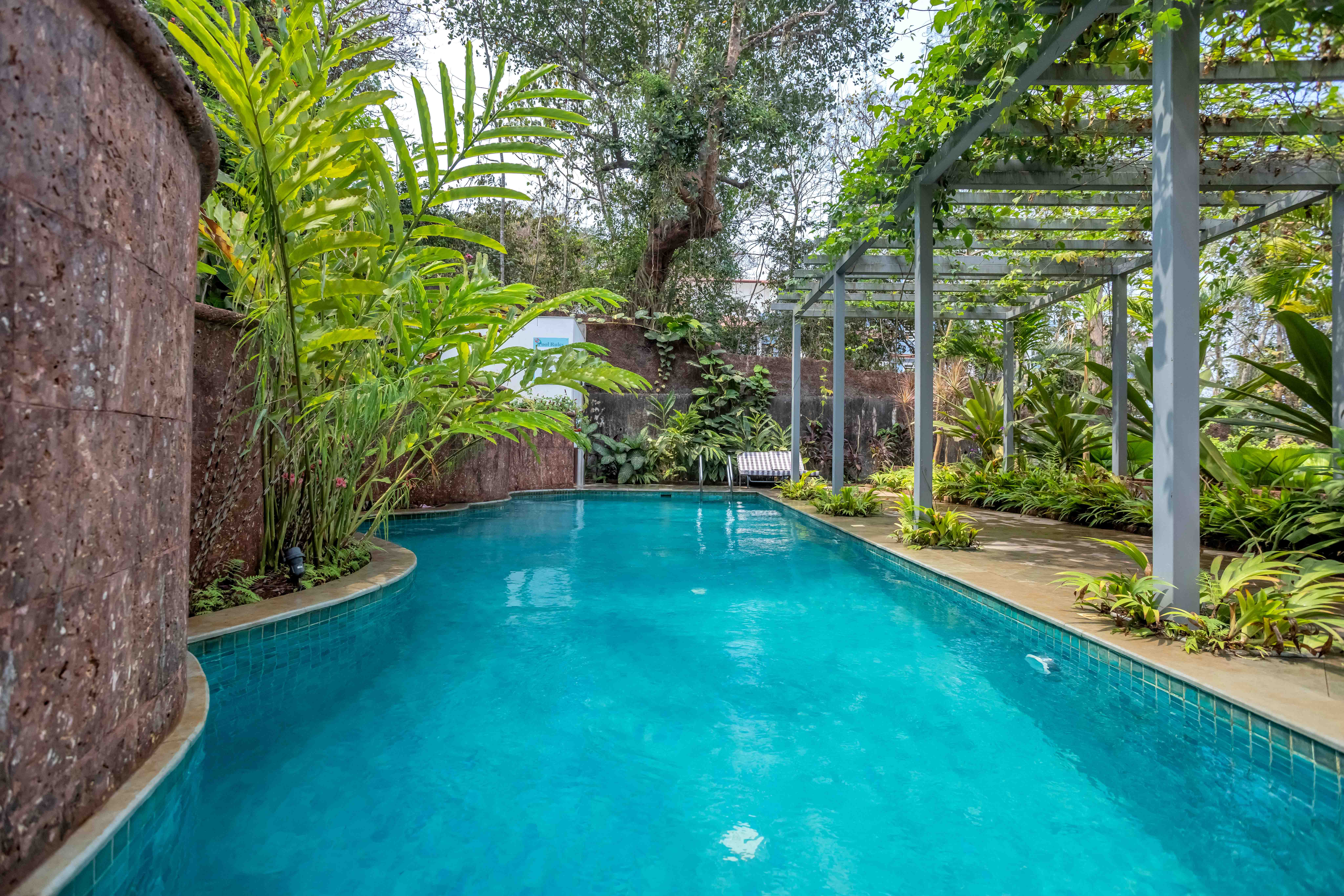 Image Title Goes Here